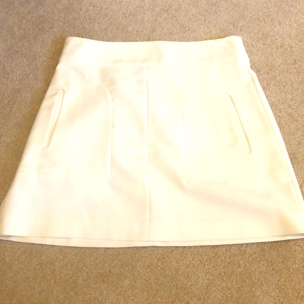 Zara skirt 🍎 Free with purchase!